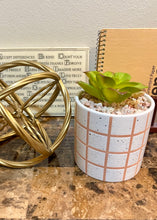 Load image into Gallery viewer, At Home Faux Succulent Plant
