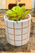 Load image into Gallery viewer, At Home Faux Succulent Plant
